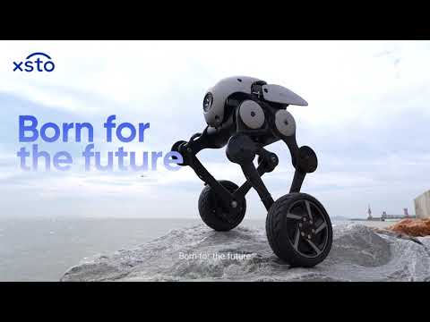 Wheeled Bipedal Robot A6